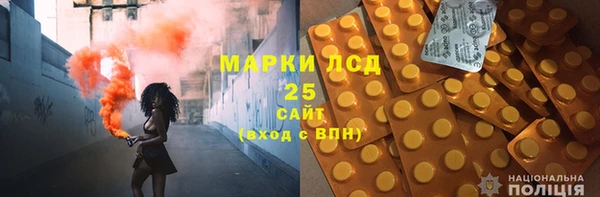 гидра Надым