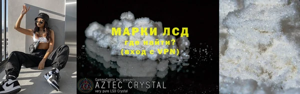 гидра Надым