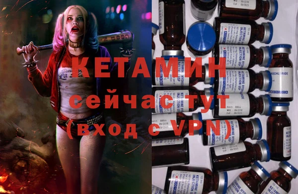 гидра Надым