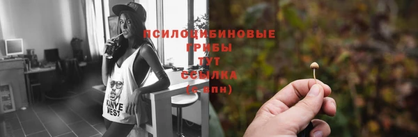 гидра Надым