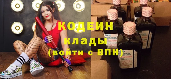 гидра Надым