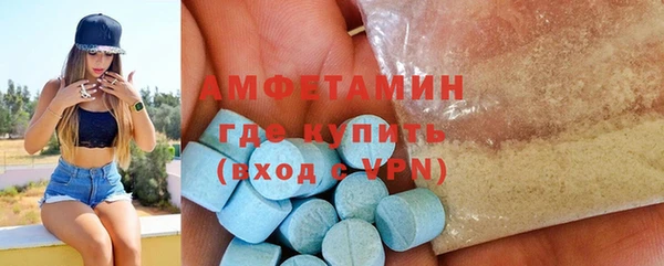 гидра Надым