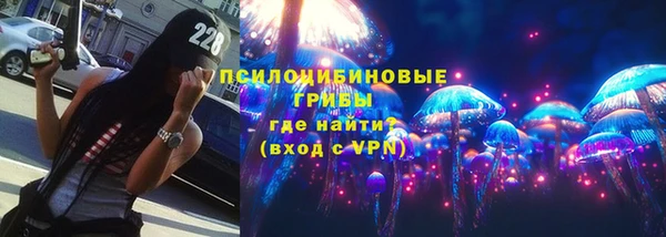 гидра Надым