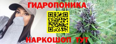 a pvp Камышлов