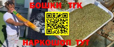 a pvp Камышлов