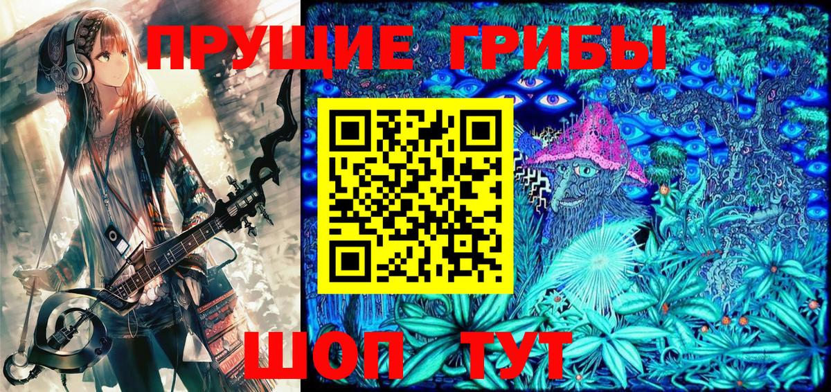 магазин продажи наркотиков  Вход с VPN  Нижнекамск  Галлюциногенные грибы Psilocybine cubensis 